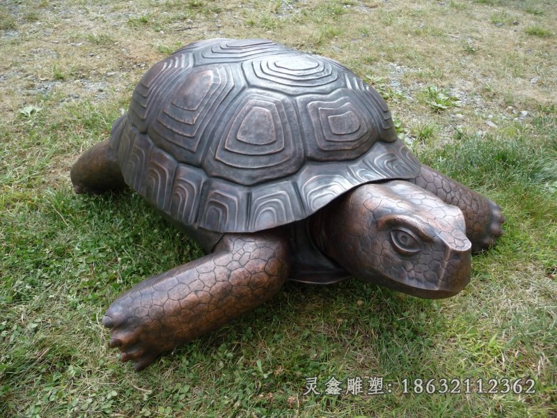 铜雕乌龟铜雕龙龟铸铜乌龟龙龟